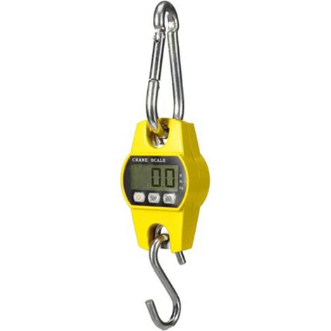 Balance à Grue Numérique - Charges Lourdes - 300 Kg / 300 G (1/4)