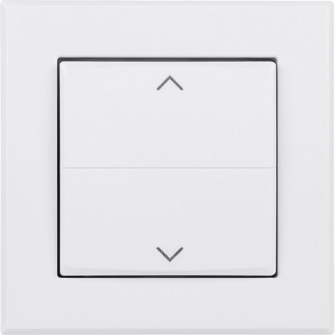 Homematic IP Tasterwippe HmIP-BRA (1/5)