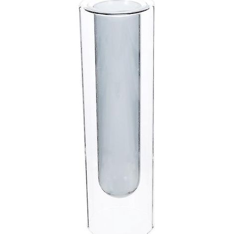 1 vase en verre pour plante (1/3)