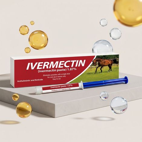 This horse deworming gel is convenient for precise dosing and suitable for horses of all ages. It gently cleanses and protects the intestines. -- 1 unit -- BIEMMEDUE (1/5)