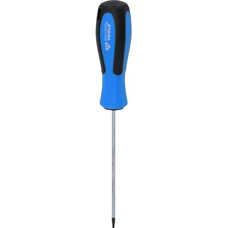 BRILLIANT TOOLS Tournevis TORX T7 x 100 mm - BT031038 (1/5)