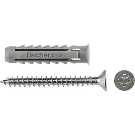 FISCHER Vite con Tassello 6 X 30 mm (1/2)