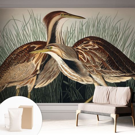 Fototapete - Tapete Vliestapete mit Kleber - Wandtapete Moderne Wandbild Schlafzimmer Wohnzimmer Realistische Vögel 312x219 cm (1/5)