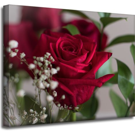 Leinwanddruck Botanische rote Rosen 50x40 cm