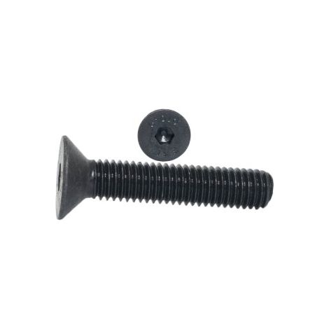 Vis Allen M14x30 classe 10.9 DIN 7991 PG partie 2 pièces (1/5)