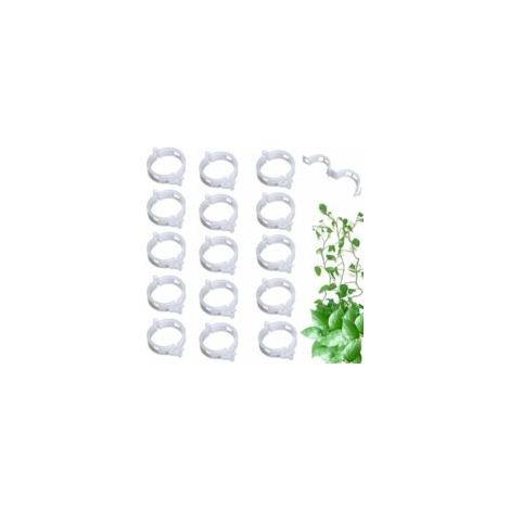 100 clip per pomodori, clip per piante, clip per innesti, clip di supporto per piante da giardino per ortaggi, viti di pomodoro, steli per una crescita dritta e più sana, clip riutilizzabili - Crezuo