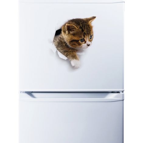 Sticker Chat contemplant dans sa cachette 55 x 55 cm (1/4)