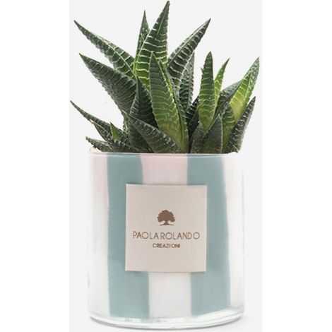 Pianta grassa in vaso di vetro decorato a mano Millerighe H 10 - Navy