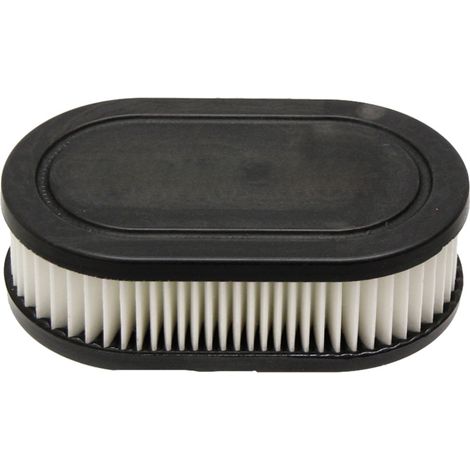 Filtro de aire BRIGGS STRATTON 593260, 798452 (1/2)