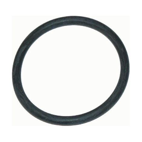 Junta t贸rica 39.69x3.53mm EPDM ARAG G10052 (1/2)