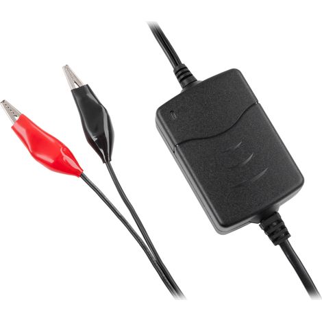 Caricabatterie Vipow per batterie al gel da 12 V