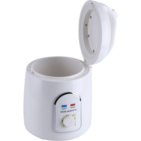 Tragbarer Sauna-Generator 1,5-1,8L mit weißem PP-Koffer und maximaler Kapazität 850W - Sauna-Dampfkessel.