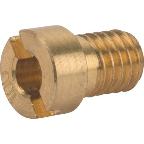 Gicleur BRIGGS ET STRATTON 806634