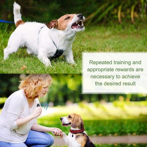 Dispositivo antiladridos ultrasónico, seguro e inofensivo para los perros, sin gritos ni golpes, apto para uso en interiores y exteriores (1/5)
