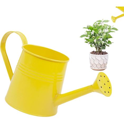 Petit Arrosoir 1 L, Vase à Fleurs, Petit Pot de Plantation (1/5)