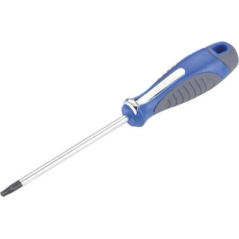 Tournevis torx inviolable t20x100 mm ALYCO 119093 (1/5)