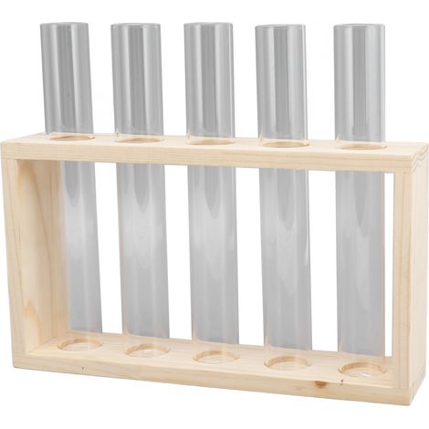 Terrarium transparent à 5 tubes à essai pour plantes, permettant d'observer la croissance des plantes et d'utiliser de l'eau. Support en bois pour herbes aromatiques et bûches.