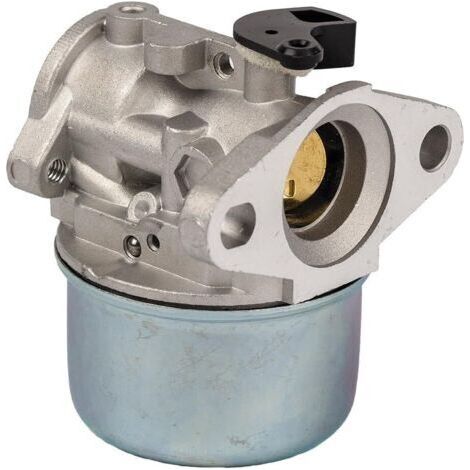 QORVA-Carburateur 799868 avec joint et joint torique de Compatible with carburateur Briggs & Stratton 498170 498254 497347 497314 (1/4)