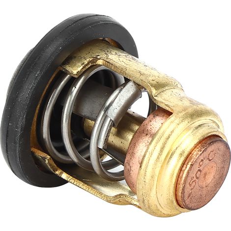 Thermostat de moteur de bateau compatible avec les moteurs hors-bord Yamaha 3P-225P (6E5-12411-30) (1/5)