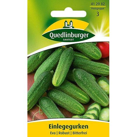 Quedlinburger Einlegegurken Eva - Gemüsesamen (1/2)