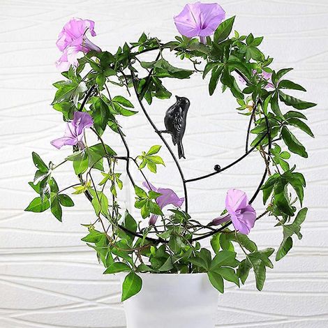 Tuteur pour plantes grimpantes en pot de 40 cm (16 po) avec revêtement antirouille, idéal pour le lierre, les rosiers, les concombres et les clématites. (1/4)