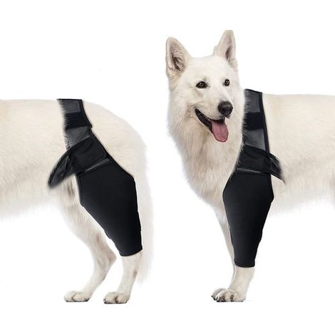 Rodillera y codera para perros para roturas del ligamento cruzado anterior, displasia, artritis, luxación de hombro, previene lesiones secundarias - XS - Negro (1/5)
