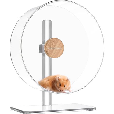 Roue pour Hamster Silencieuse 32cm, Roue d'exercice à Double Roulement pour Hamster Syrien/Nain, Gerbilles, Souris et Autres Petits Animaux(Transparent) (1/5)