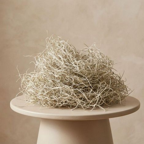 Mousse de Tillandsia Séchée Décorative pour Terrarium et Composition Naturelle Gris-Vert 1 L - PANGIVO (1/4)