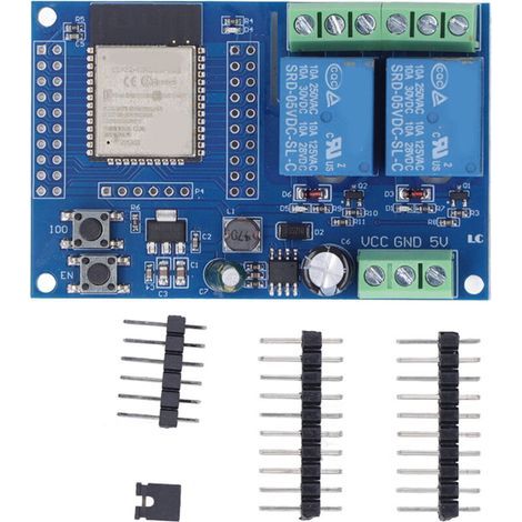 Module de relais programmable 4M Flash, double relais pour développement secondaire et apprentissage, compatible DC5-60V.
