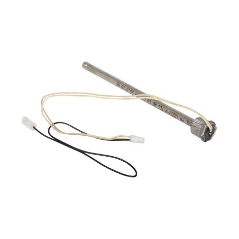 Kit de service pour allumage - AOSMITH : 0304079(S)