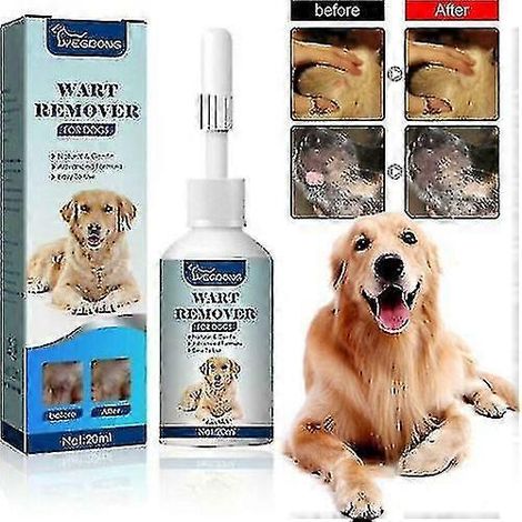 Traitement naturel contre les verrues chez le chien (1/5)