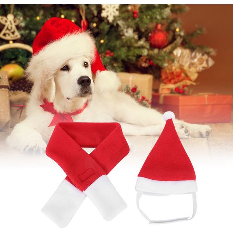 Adorable costume de Père Noël pour chien, chaton ou petit animal de compagnie : bonnet, écharpe et collier. (1/5)