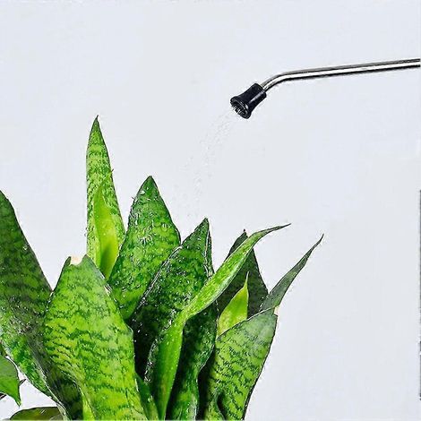 Arrosoir à jet d'eau 2025 pour plantes, petits pots de fleurs et terrasses. (1/5)