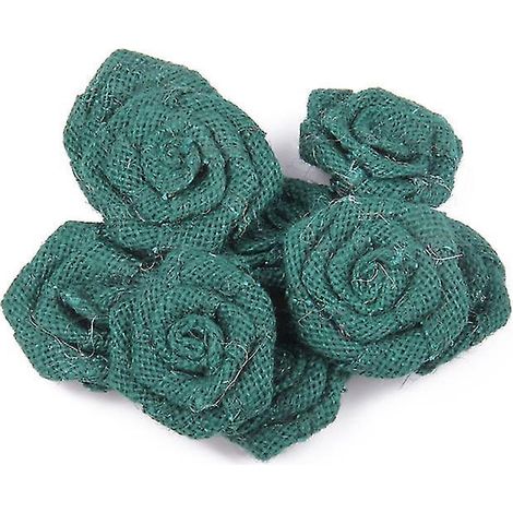 6 roses Brulap