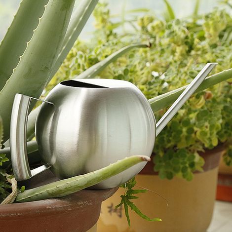 Arrosoir en acier inoxydable 1000 ml à long col rond pour plantes de jardin. (1/5)