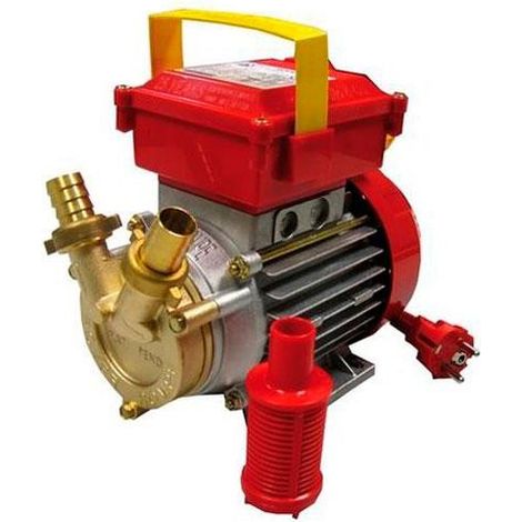 Pompe de transfert Champion ROVER 20-CE - talla