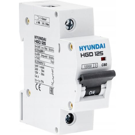 Hyundai HGD - interruttore automatico 1P, 125AF, 10KA, 80A, carattere C (1/3)