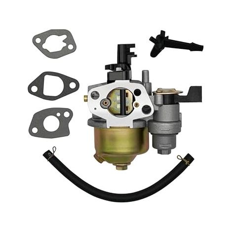 Carburateur 19mm pour Moteur 168F 170F 196cc 212cc avec Joints et Durite (1/5)