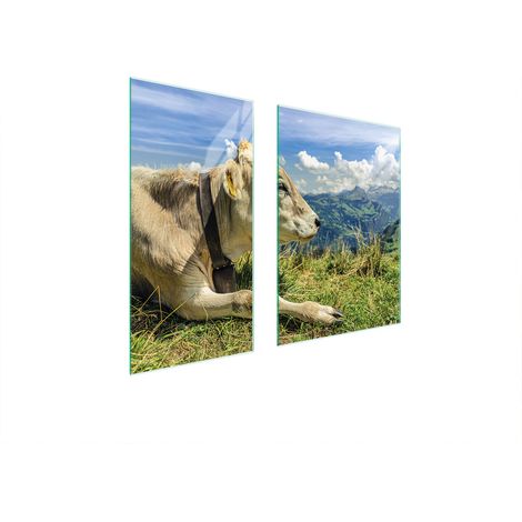 GLASSCHUTZPLATTE BOARD 75x52 KUH (1/5)