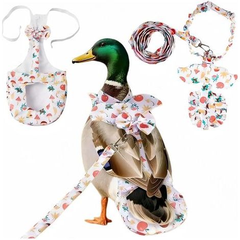 Windeln für Hennen und Hähne, Entenwindeln mit Leine, wiederverwendbare Windeln für Hausenten, Kleidung für Hennen, wasserdichte Windeln für Geflügel (Gänse, Hausenten), (1/5)