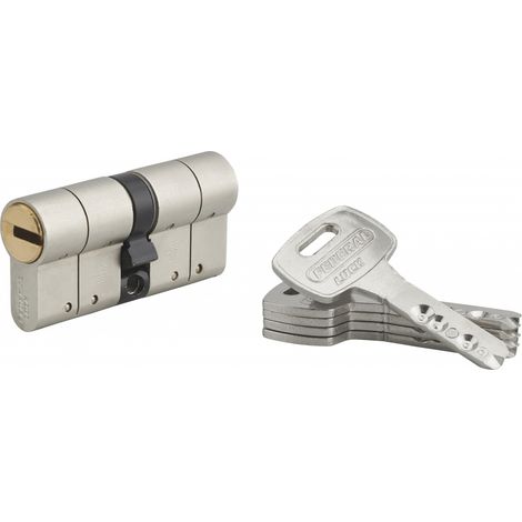 THIRARD - Cylindre de serrure double entrée Federal S, 30x30mm, nickel, anti-arrachement, anti-perçage, 5 clés - THIRARD (1/3)