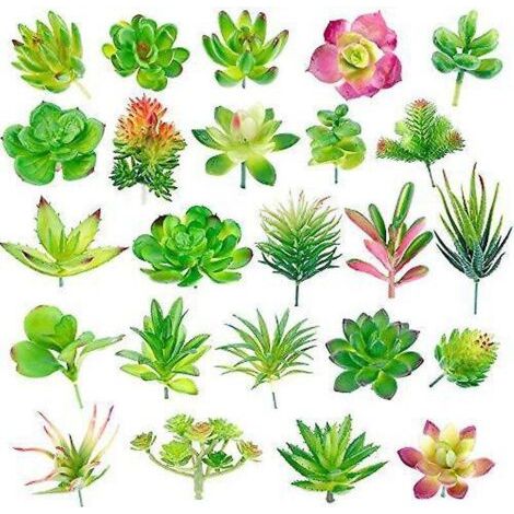 BUNTHAUS 24 Pack plantes succulentes artificielles jardin miniature faux cactus floral bricolage maison fausses succulentes fausses plantes fausses succulentes (1/3)