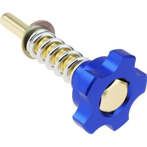 Vis de Réglage du Ralenti (mélange Air/Essence) Bleue Compatible avec Keihin PWK Carburateur de Moto (1/5)