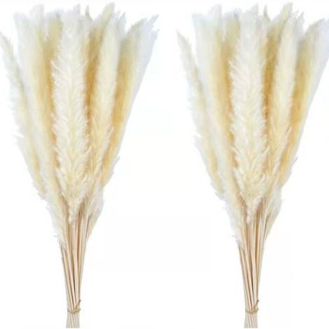 30PCS Petit Bouquet de Fleurs d'Immortelles Roseaux Herbe de la Pampa Fleurs Séchées Décorations DIY Noël Blanc (1/5)