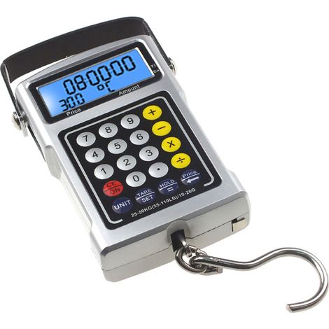 Calculatrice avec balance électronique numérique, balance de grue numérique électrique-AquaForge (1/4)