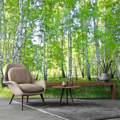 Vlies Fototapete Wald 350x250 cm, Tapeten, für Wohn und Schlafzimmer, Vliestapete Wandtapete Tapete 3D Effekt- inkl. Kleister - Birken Natur Landschaft grün, WallArena (1/4)