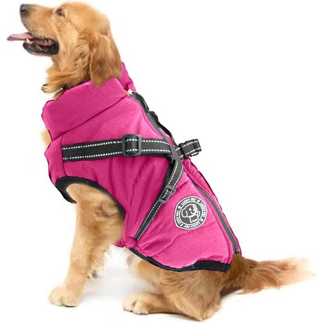 Manteau Chien imperméable Hiver avec Harnais d'hiver pour Chiens (1/5)