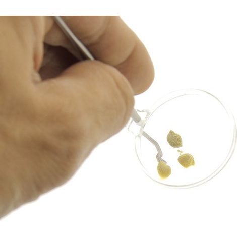 Picking en inox avec loupe (1/3)
