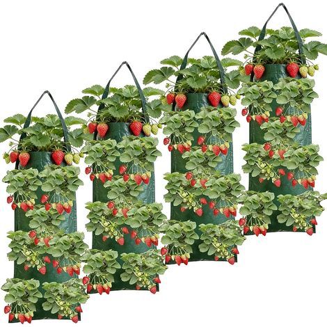 4er-Set Pflanzsäcke, 10 Löcher, Vliesstoff, atmungsaktiv, für Balkon (1/5)
