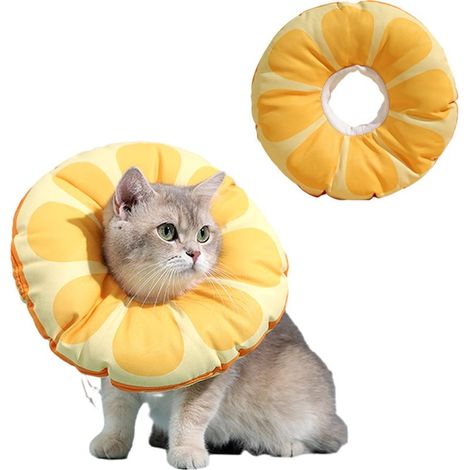 Collier de convalescence ajustable pour chat, doux et mignon, avec cône de protection pour le cou après une intervention chirurgicale, adapté aux chatons et aux petits chiens. Taille L. (1/5)